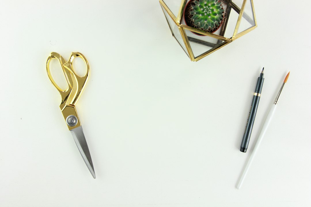 Illustrative photograph related to precision scissors and general craft scissors