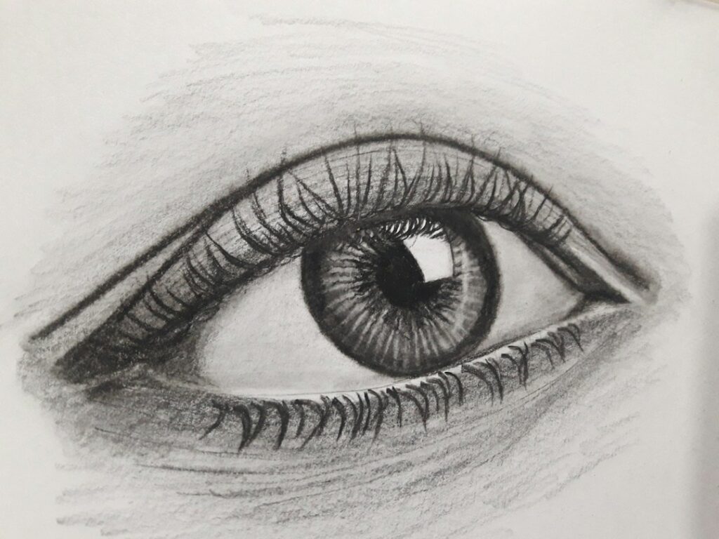 Graphite sketch and pencil work on paper