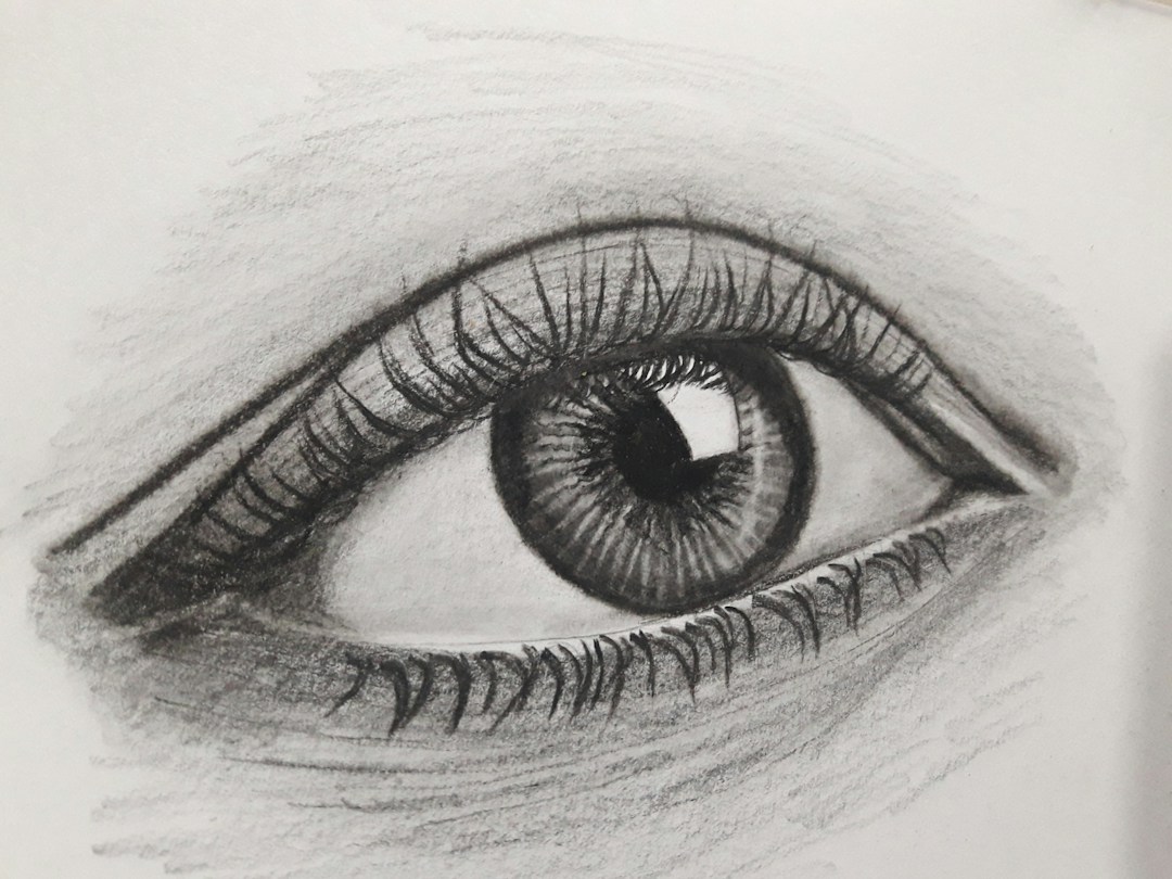 Graphite sketch and pencil work on paper