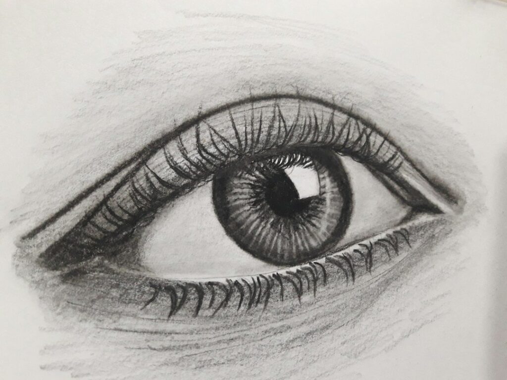 Detailed pencil sketch