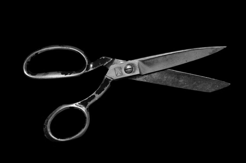 Scissors for making paper crafts